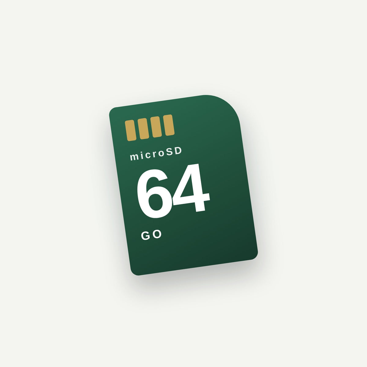Carte microSD 64 Go pour caméra de chasse